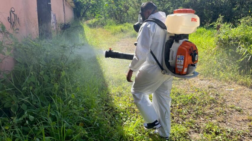 The church in Puerto Rico calls for social responsibility in the face of the dengue epidemic